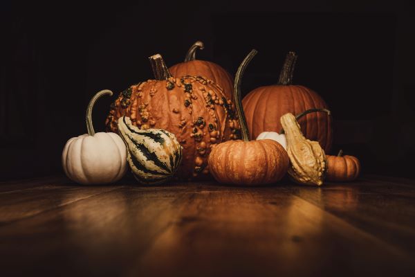 Thanksgiving-Pumpkins-gourds